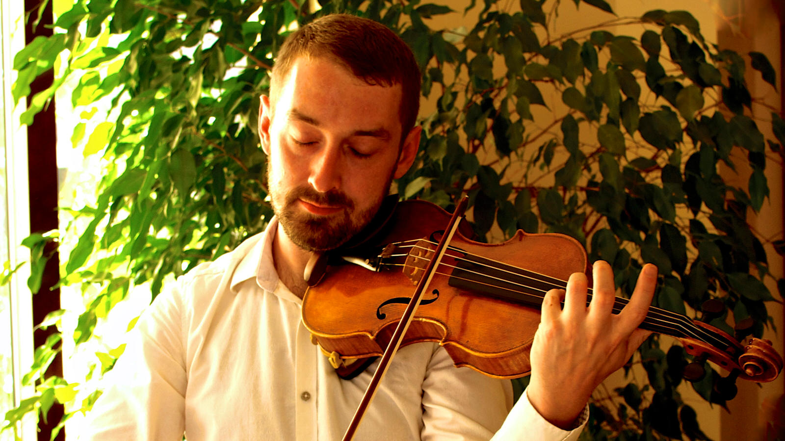 Tadhg Murphy - Violinist